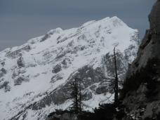 Klik za večjo sliko